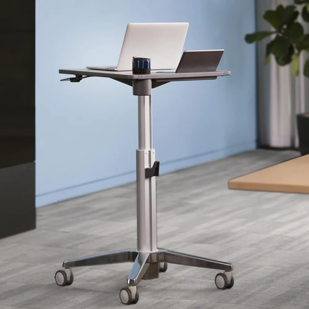 Ergotron LearnFit Sit-Stand Desk